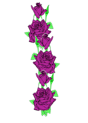 colr.gif (5638 bytes)