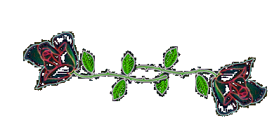 redrose.gif (17359 bytes)